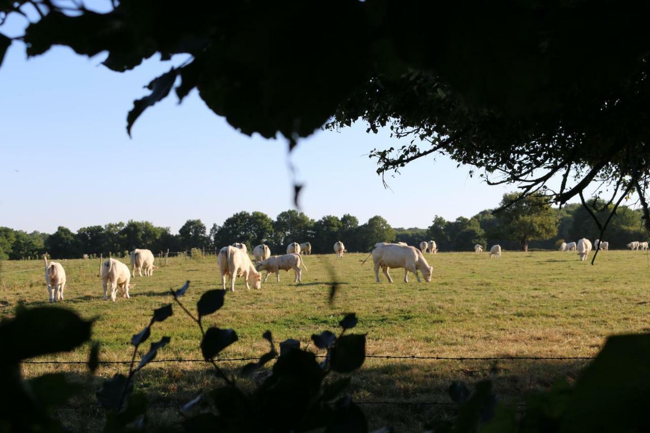 Bed and Breakfast Le Bourgis La Chapelle-Montligeon Exterior foto