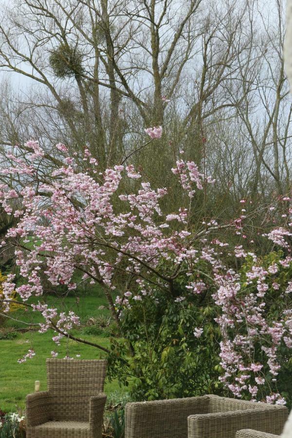 Bed and Breakfast Le Bourgis La Chapelle-Montligeon Exterior foto